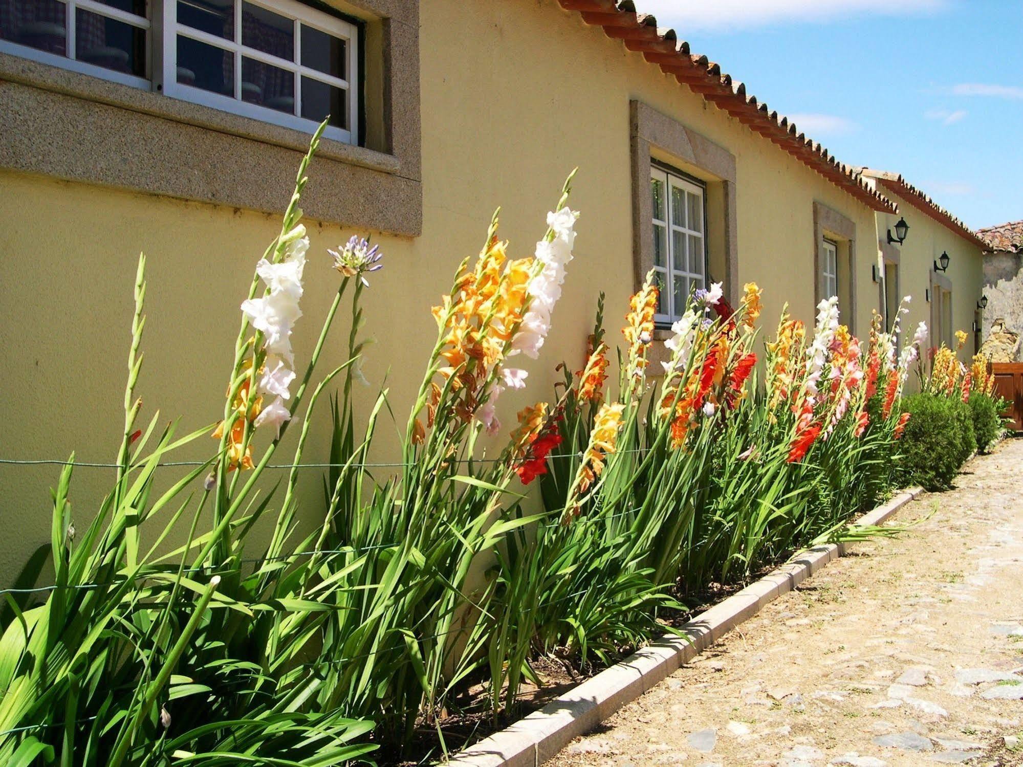 Hospedaria Do Convento D'Aguiar- Turismo De Habitacao Figueira de Castelo Rodrigo Dış mekan fotoğraf